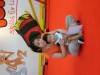 S6303455_resize.JPG